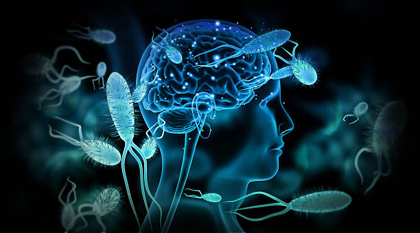 Dalili Za Amoeba (Amiba) Kwa Mtoto: Chanzo, Madhara Na Dawa Yake