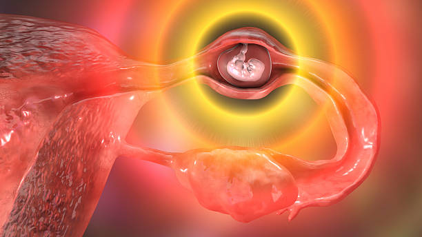 Dalili Za Ectopic Pregnancy: Sababu, Madhara Na Jinsi Ya Kutibu Haraka