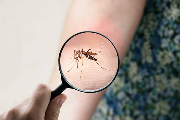 Dalili Za Homa Ya Dengue: Sababu, Madhara Na Jinsi Ya Kutibu Haraka
